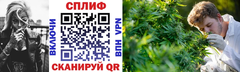 блэк спрут как войти  как найти закладки  Салехард  Каннабис White Widow 